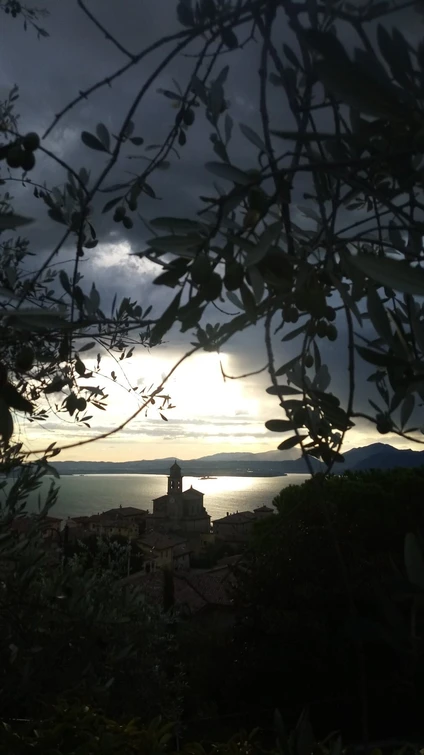 Home Restaurant a Torri del Benaco: Un’Esperienza Gourmet in Dimora Privata 4